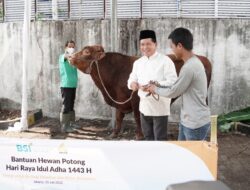 BSI Salurkan 3.691 Hewan Kurban ke Seluruh Indonesia