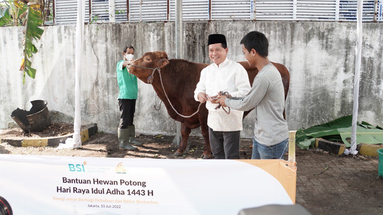 BSI Salurkan 3.691 Hewan Kurban ke Seluruh Indonesia 1 DFnBp4vKIsrGh60nOWO58SVDOCdgeB7gKsbDoUWB