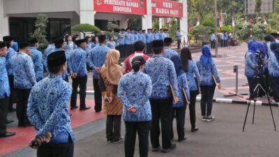 BKN: PNS Tak Ikut Pelatihan Dasar dan Passing Grade Bakal Diberhentikan 3 242127196