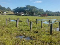 Tak Dapat Perhatian Pemerintah, Wisata Danau Geunang Geudong Diselimuti Eceng Gondok