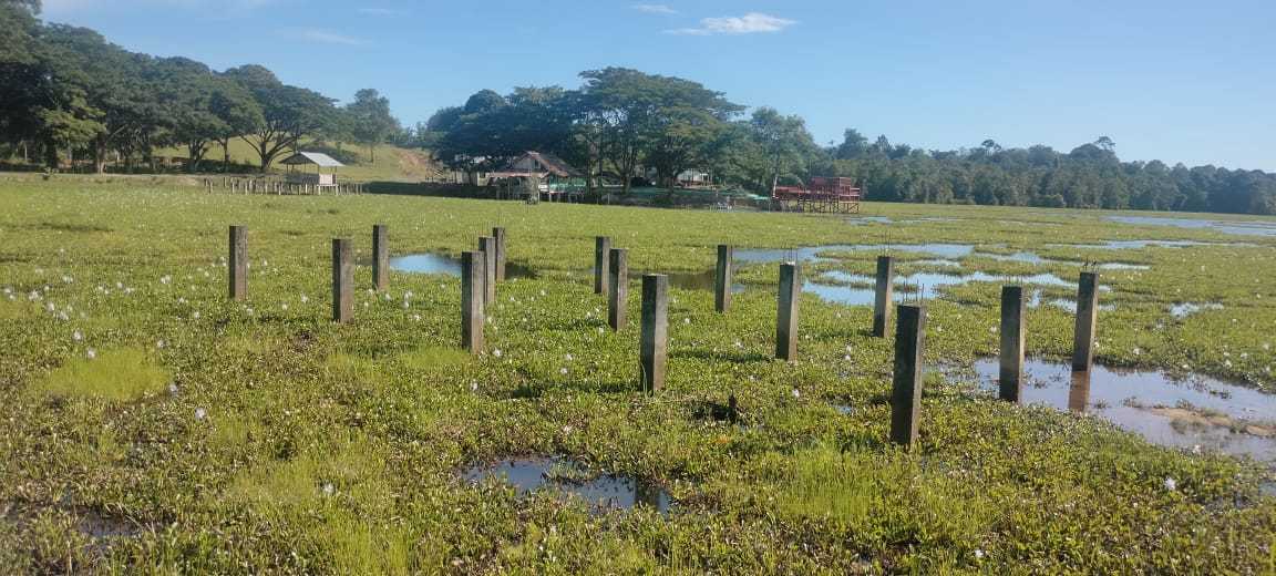 IMG 20220804 WA0004 11zon