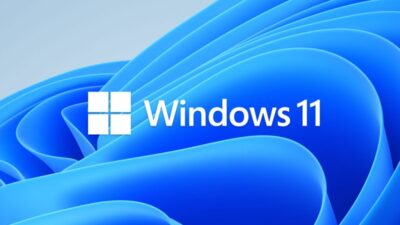 wimdows 11