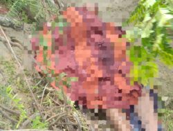 Terseret Arus Sungai Krueng Isep, Warga Meunasah Teungoh Ditemukan Tidak Bernyawa