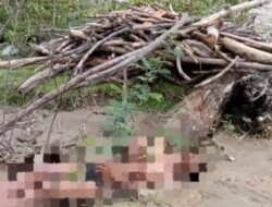 Warga Nagan Raya Terseret Arus Sungai Ditemukan Meninggal Dunia