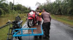 WhatsApp Image 2022 11 16 at 10.51.45