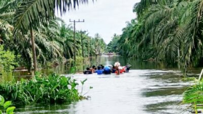 Aceh Selatan Diguyur Hujan Lebat, Kini Ketinggian Banjir Capai 1,5 Meter 4 banjir Aceh Selatan