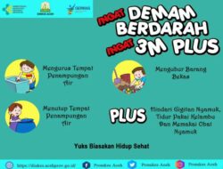 Dinkes Minta Warga Aceh Waspadai Demam Berdarah Saat Menghadapi Musim Pacaroba