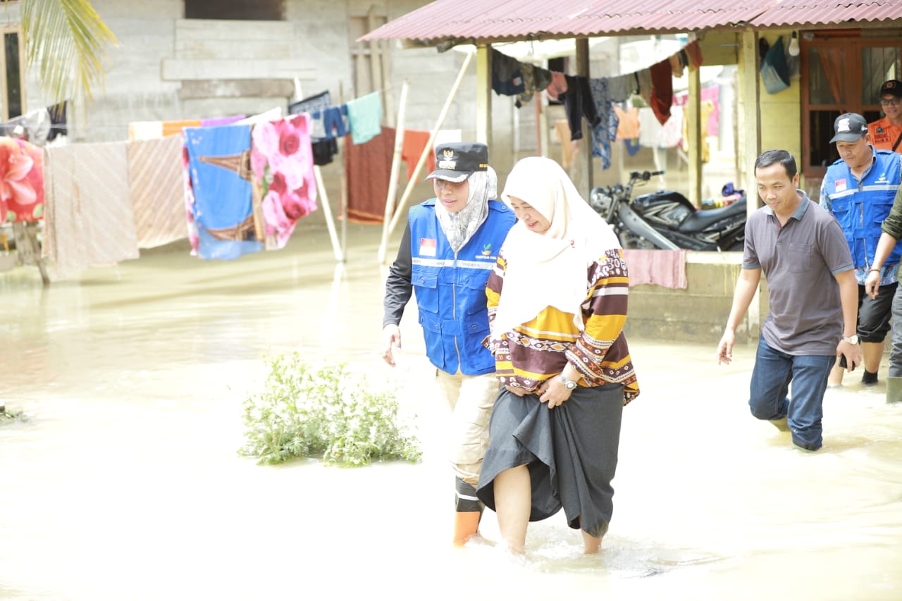 pj bupati nagan raya tinjau lokasi banjir