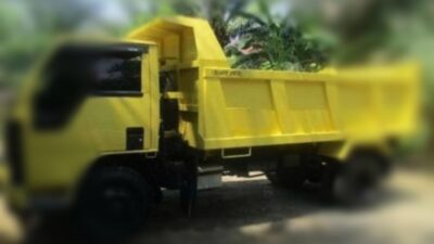 IMG 20230120 121359 copy 800x533