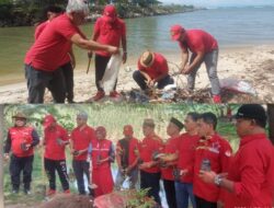 Dalam Rangka Peringati HUT Partai ke 50, DPD PDIP Aceh Bersihkan Pantai dan Tanam Pohon