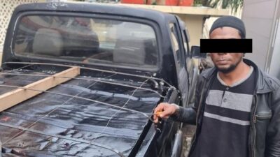 pelaku penumbunan bbm