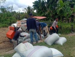 Terkait Turunnya Harga Gabah, Begini Kata Kadis Pertanian dan Peternakan Nagan Raya