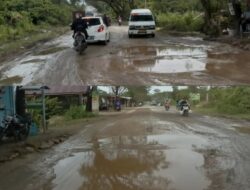 Bertebaran Dibeberapa Titik, Jalan Elak Buket Rata-Krueng Mane Masih Banyak Berlubang
