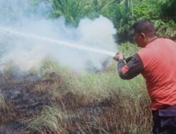 WASPADA! Akibat Cuaca Terik, Kebakaran Lahan Kembali Terjadi di Lhokseumawe