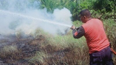 lahan terbakar di lhokseumawe