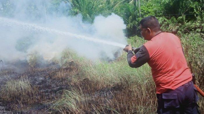 lahan terbakar di lhokseumawe