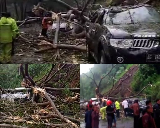 Akibat Tertimpa Longsor Di Pegunungan Ponorogo – Trenggalek, Dua Mobil Hancur 1 tertimpa longsor