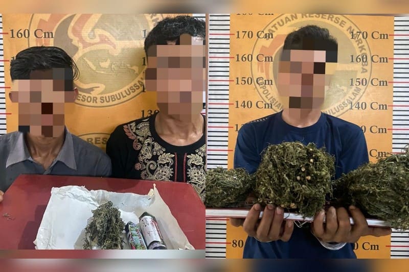 Polisi-amankan-ganja
