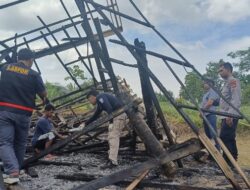 Polsek Sawang Dampingi Tim Puslabfor Poldasu Olah TKP Pembakaran Kandang Lembu Milik BUMG