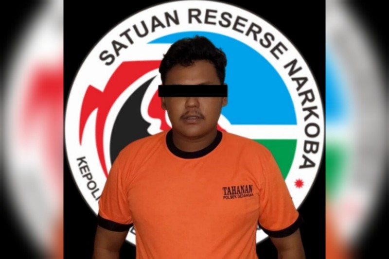 pengedar