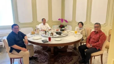 Presiden dan Megawati Bahas Pelaksanaan Pemilu 2024 4 presiden-gelar-pertemuan-dengan-ketum-pdip