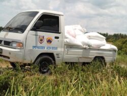 DPD Nasdem Aceh Besar Beri Layanan Angkutan Gratis Bagi Petani Padi