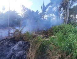 Kurangnya Pengawasan, 40 M Lahan Kebun Warga Ludes Terbakar