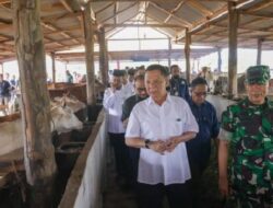 Pemkab Aceh Jaya dan Dinas Peternakan Kerja Sama Penertiban Hewan Ternak
