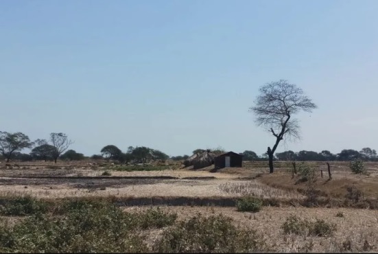 warga ntt diminta waspadai potensi kekeringan