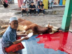 Idul Adha 1444 Hijriah, Warga Cianjur Bahagia Terima Sapi dari Panduwinata