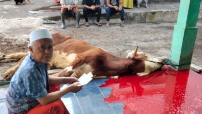 IMG 20230629 WA0022 1