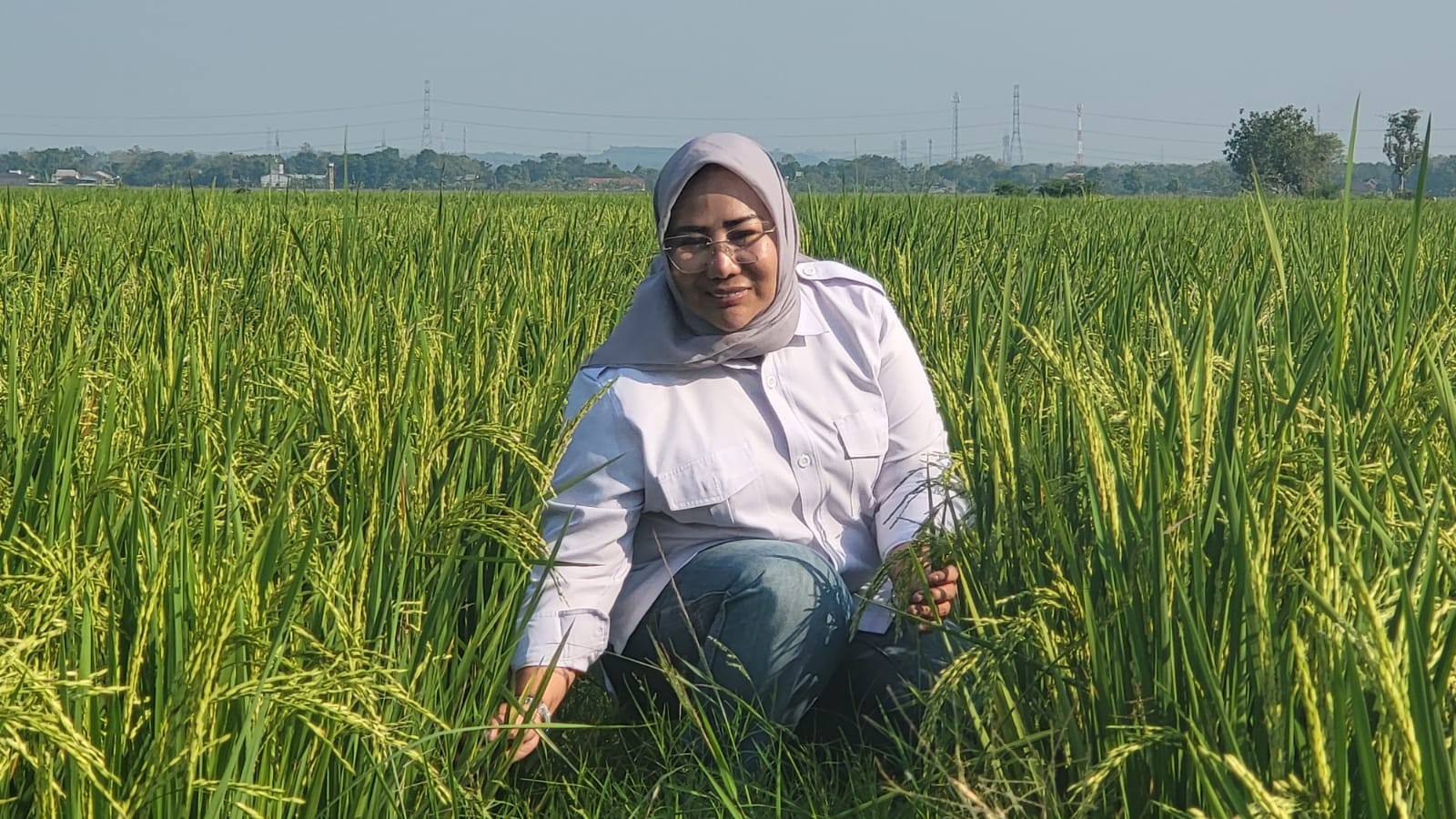 Indah Megahwati Saat Meninjau Persawahan di Jawa Tengah