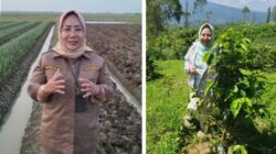 Direktur Pembiayaan Pertanian di Direktorat Jenderal Prasarana dan Sarana Pertanian, Kementerian Pertanian, Indah Megahwati. (Foto: Istimewa)