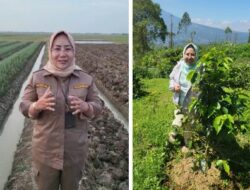 Gebrakan Direktorat Pembiayaan Pertanian, Digitalisasi untuk Meningkatkan Produktivitas dan Taraf Hidup Petani