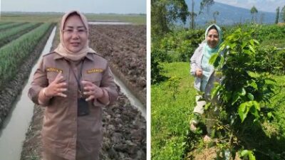 Gebrakan Direktorat Pembiayaan Pertanian, Digitalisasi untuk Meningkatkan Produktivitas dan Taraf Hidup Petani 1 Direktur Pembiayaan Pertanian di Direktorat Jenderal Prasarana dan Sarana Pertanian, Kementerian Pertanian, Indah Megahwati. (Foto: Istimewa)