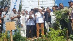 Direktur Pembiayaan Pertanian, Indah Megahwati didampingi anggota Komisi IV DPR RI, Haerudin Amin meninjau langsung panen porang yang dibiayai oleh Kredit Usaha Rakyat (KUR) dari Kementerian Pertanian di Singajaya, Garut, Jawa Barat, Selasa (27/6/2023).