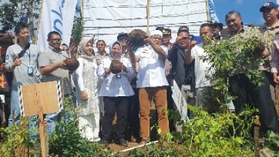 Porang Sebagai Terobosan Inovatif untuk Ketahanan Pangan dan Pertumbuhan Ekonomi 2 Direktur Pembiayaan Pertanian, Indah Megahwati didampingi anggota Komisi IV DPR RI, Haerudin Amin meninjau langsung panen porang yang dibiayai oleh Kredit Usaha Rakyat (KUR) dari Kementerian Pertanian di Singajaya, Garut, Jawa Barat, Selasa (27/6/2023).