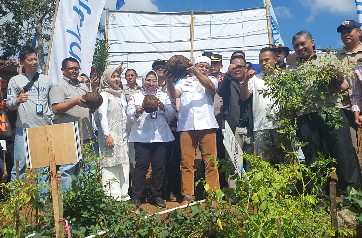 Direktur Pembiayaan Pertanian, Indah Megahwati didampingi anggota Komisi IV DPR RI, Haerudin Amin meninjau langsung panen porang yang dibiayai oleh Kredit Usaha Rakyat (KUR) dari Kementerian Pertanian di Singajaya, Garut, Jawa Barat, Selasa (27/6/2023).