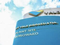 DPR Desak Divestasi Saham Vale Indonesia Untuk Kepentingan Negara