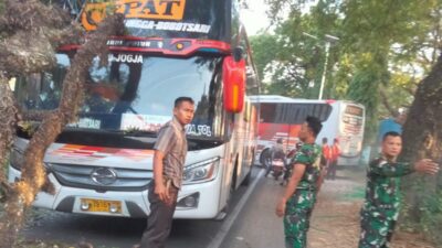 bus