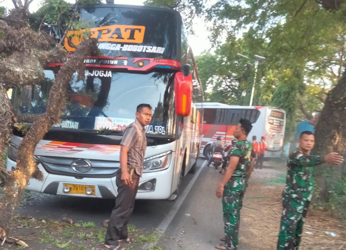 Bus Eka Tertimpa Pohon Raksasa di Jalur Magetan-Ngawi, Ini Penyebabnya 1 bus