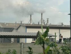 Polusi Pabrik Porang Ancam Kesehatan dan Kenyamanan Warga di Desa Bantengan