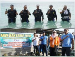 Kunker ke Aceh Singkil, Pangdam IM Lepas Tukik di Pulau Panjang