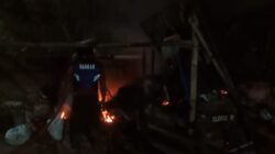 Kandang Terbakar, 14 Ekor Ternak Kambing Berubah Jadi 'Kambing Guling' 6 ponorogo