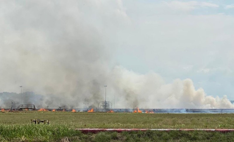 Rumput Kering Di Areal PT PGE Dilalap Sijago Merah 1 PGE