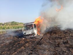 Akibat Korsleting Instalasi Listrik, Sebuah Truk Terbakar Sambar Lahan Tebu di Magetan