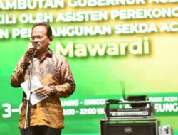 Pemerintah Aceh Komitmen Dukung UMKM Lewat Bank Aceh Action Expo