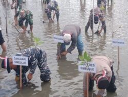 Gelar Penghijauan Serentak, Polres Simeulue Tanam Seribu Batang Mangrove