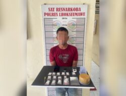 Polisi Kembali Ringkus Seorang Tersangka Narkotika, 19 Paket Sabu Turut Diamankan