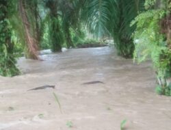 Update Kondisi Terkini Korban Banjir Aceh Utara